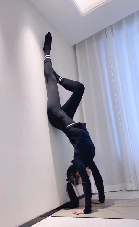 上城御姐小妖精